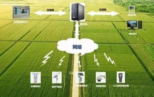 未來農業科技暢想曲 從植物工廠到智慧餐桌的數字化革命